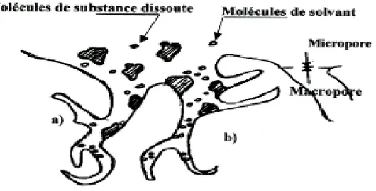 Figure I-3 : Structure d’un bon adsorbant  (a) Zone accessible aux molécules de solvant et 