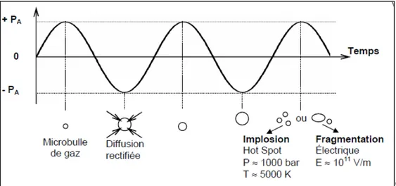 Figure I-7: Représentation schématique du cycle de vie d’une bulle de cavitation [35]