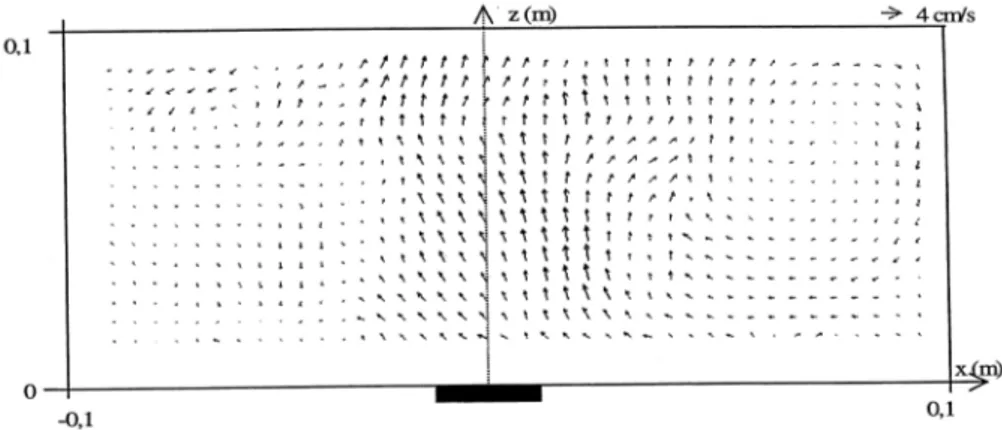 Figure I-9: Distribution des vecteurs vitesse dans l’eau au sein d’un réacteur 