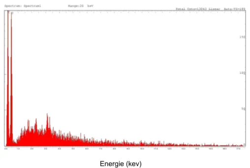Figure II- : Analyse EDS de la surface des écorces d’eucalyptus.