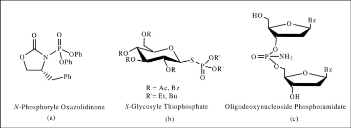 Figure 03: Les hétérocycles contenant le motif Phosphoryle.