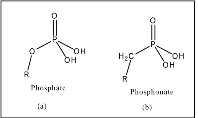Figure 04: Comparaison entre Phosphate-Phosphonate.