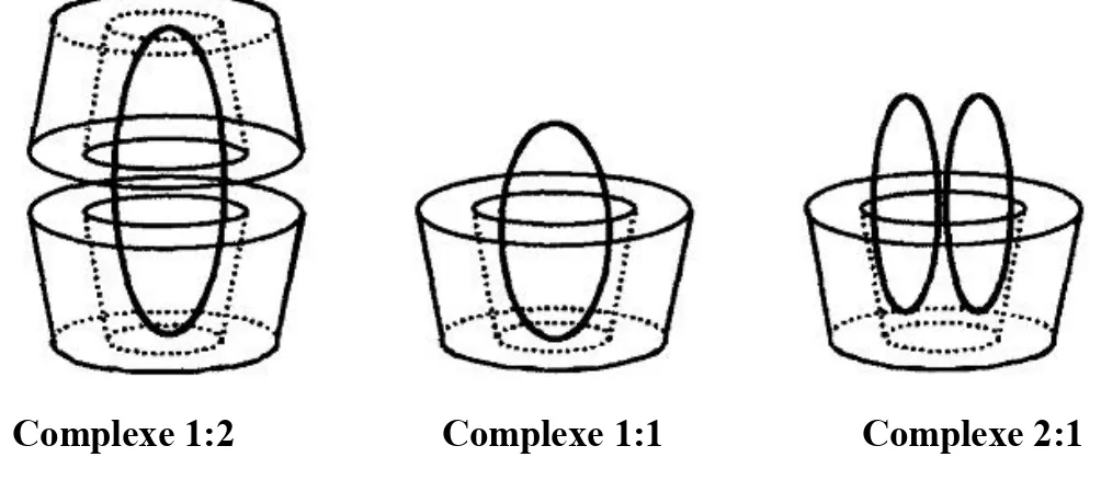Figure 2.6: Représentations schématiques de quelques complexes d’inclusion de