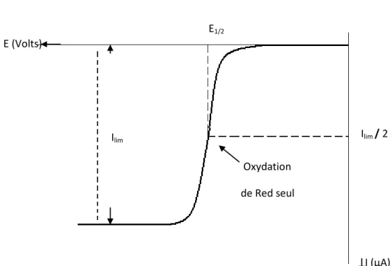 Figure 2 : Courbe courant-potentiel en régime de diffusion convective stationnaire pour  un système réversible