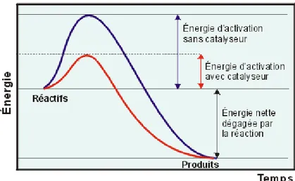 Figure 3 : Modification du profil énergétique d’une réaction par la catalyse. 