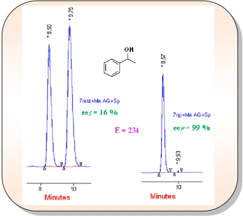 Figure 21 : DCE du 1-phényl-éthanol (7) avec le MeAG en présence de la CAL B.  