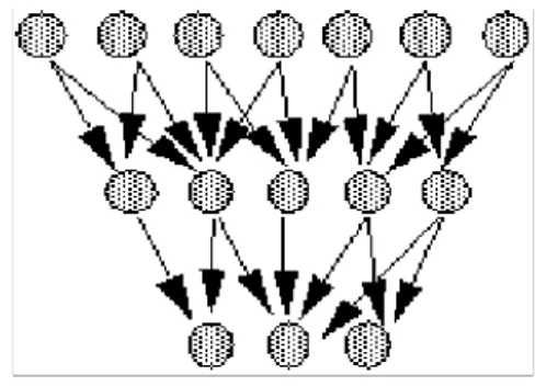 Figure 4 : Réseau à connexions locales.