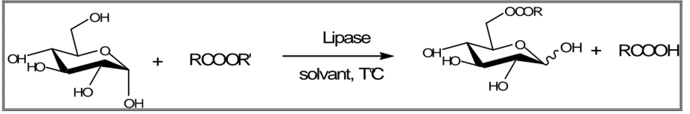 Figure 4 : Réactivité des groupements hydroxyles du D-glucose. 