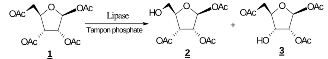 Tableau 2 : Hydrolyse régiosélective du 1,2,3,5-tetra-O-acetyl-β-D-ribofuranose 1, catalysée par des  lipases immobilisées sur un support d’octyl agarosa .