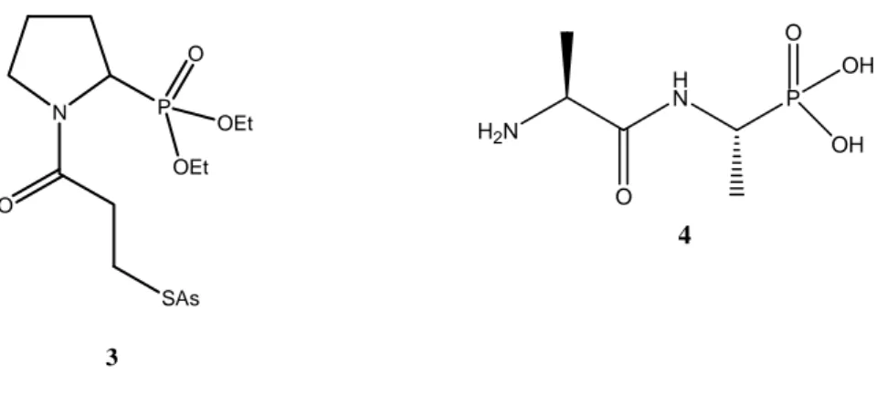 Figure 2 : Structures chimiques de quelques amidophosphonates. 