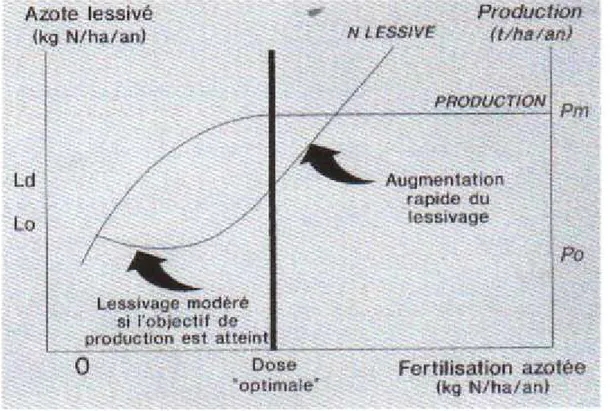 Figure 1.3 : Relation entre niveau de fertilisation azotée,production de matière sèche et lessivage 