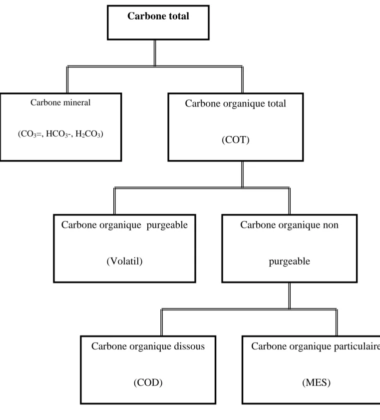 Figure 2: les différentes formes du carbone dans l'eau DEGREMONT, 