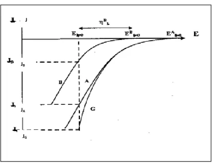 Fig. I.2 : Courbes de polarisation cathodique pour trois électrolytes : A, électrolyte contenant le cation du métal le moins noble; B, électrolyte contenant le cation noble; G, l'électrolyte contenant les deux cations.