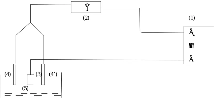 Fig. II-2: Dispositif d’électrodéposition.