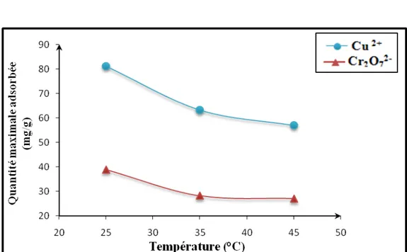 Figure 13 : Capacité maximale d’adsorption du kaolin brut en fonction de la  température