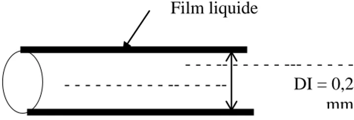 Figure 6 : Illustration des colonnes capillaires.  