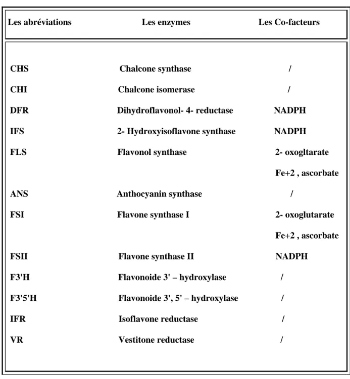 Tableau 2  1-4-La Synthese des flavonoide 