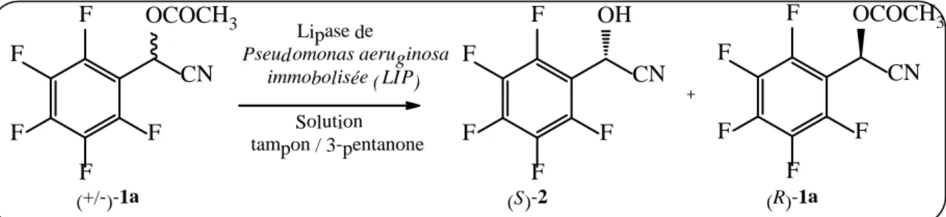 Figure 11: la corrélation entre l’excès énantiomérique (R)-1a, (S)-2 et le pH (pH 5,0 –  8,0)-3-pentanone dans la résolution via la lipase LIP