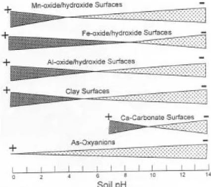 Figure 4 : Distribution des charges de surface des colloïdes du sol (Sadiq 1997).