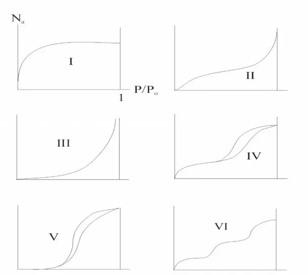 Figure 11: Classification des isothermes d’adsorption (Stoeckli et al. 1994 ; Carrasco-