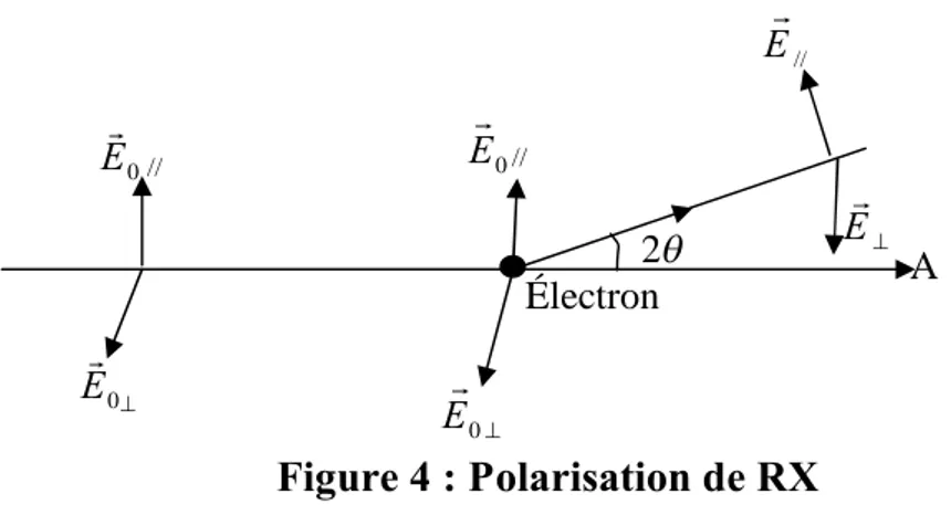 Figure 4 : Polarisation de RX