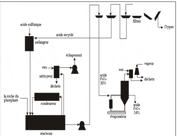 Figure I.3: Schéma de fabrication de l'acide phosphorique par voie humide.