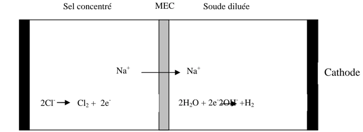 Figure II.9 : Production de la soude et du chlore par l’électrodialyse à membrane