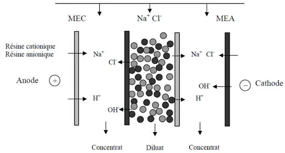 Figure II.10: Schéma de principe de l’électrodésionisation appliquée au traitement d’une solution de chlorure de sodium.