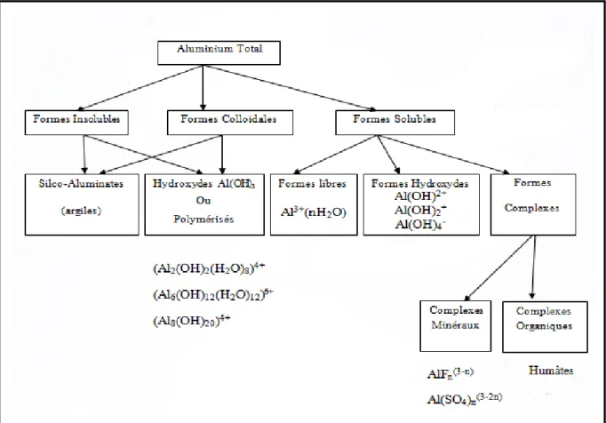 Figure 3: Espèces ioniques et moléculaire de l’aluminium dans l’eau (Rosin et al, 1990) 