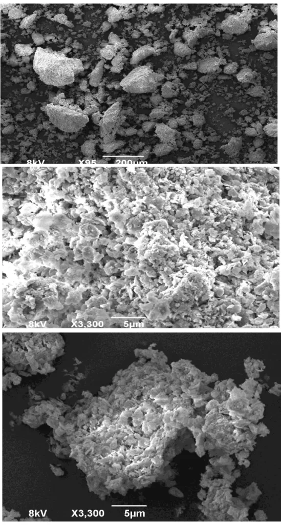 Figure 10: Micrographie de l'état de surface des particules de boue de 5 à 200um. 