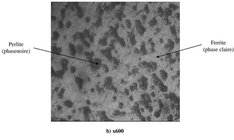 Figure  II.13 .Micrographies de  l’acier A37 après attaque au « natal »,  a) agrandissement x220, b) agrandissement x600