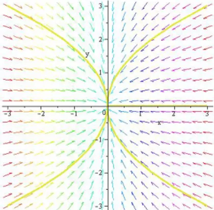 Figure 1.2 – (0,0) est un noeud stable