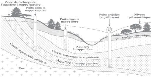 Figure 1.2.1 – Types d’aquif` eres.