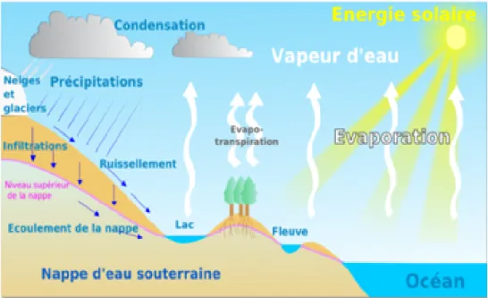 Figure 1.4.1 – Cycle de l’eau
