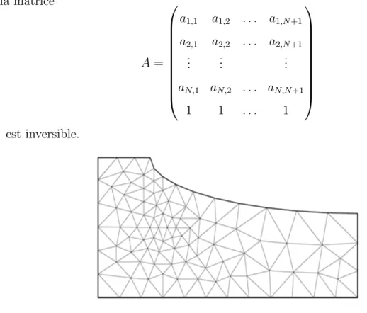 Figure 2.7.1 – Exemple de maillage triangulaire en dimension N = 2