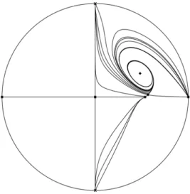 Fig. 1-3 – Cycle limite du système(1.19) en utilisant le programme P4 &#34; polynomial planar phase portraits&#34;