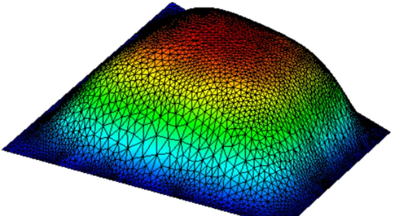 Figure 2.4 – Coque d´ eform´ ee face inf´ erieure