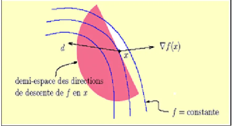 Fig. 1.3 –Demi-espace des directions de descente d de f en x.