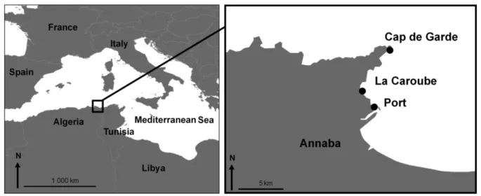 Figure 5. Zone d’étude et lieux d’échantillonnage ().  2.2.2. Paramètres chimiques dosés au laboratoire           