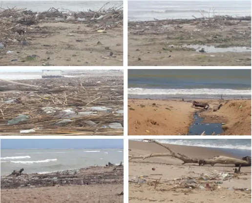 Figure 51: Image Satellitaire montrant la plage de Joinoville Google Earth (2017). 
