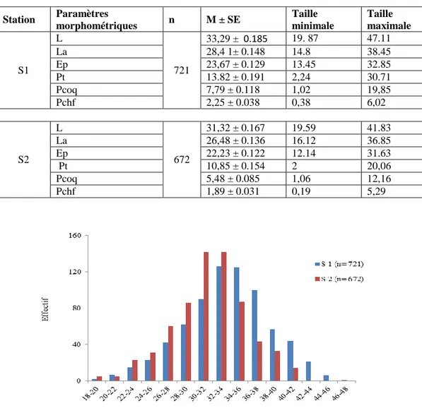 Tableau 1.  Description statistique des paramètres  morphométriques mesurés chez  C. glaucum de la 