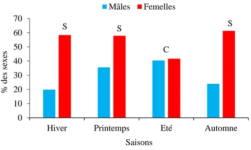 Figure 31. Structure saisonnière de la population de Serranus cabrilla des côtes est d’Algérie (s:  sex-ratio en faveur des femelles; c: sex-ratio constant)