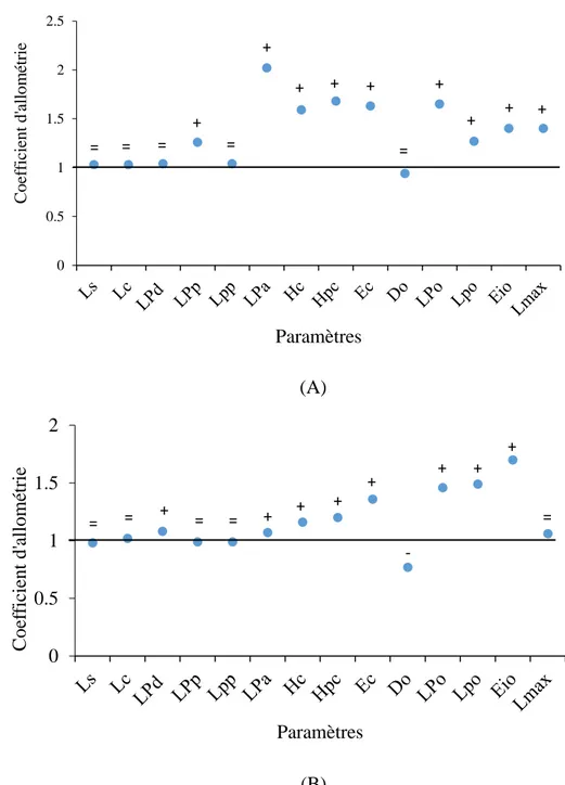 Figure  9.  Coefficient  d’allométrie  en  fonction  des  paramètres  métriques  chez  les  mâles (A) et  les  femelles  (B)  de  Serranus  cabrilla    des  côtes  est  d’Algérie