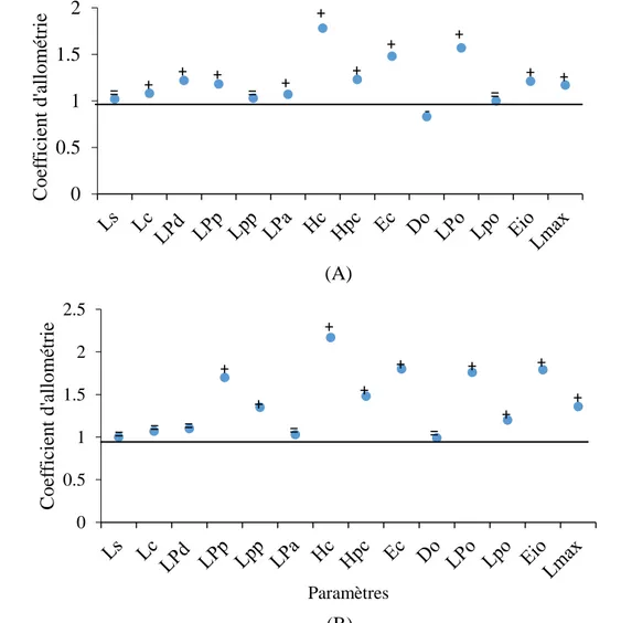 Figure  11.  Coefficient  d’allométrie  en  fonction  des  paramètres  métriques  chez  les  s e r r a n s   r o u g e s   (A) et jaunes (B) de Serranus cabrilla des côtes est d’Algérie (+: allométrie majorante,  -: allométrie minorante, =: isométrie)