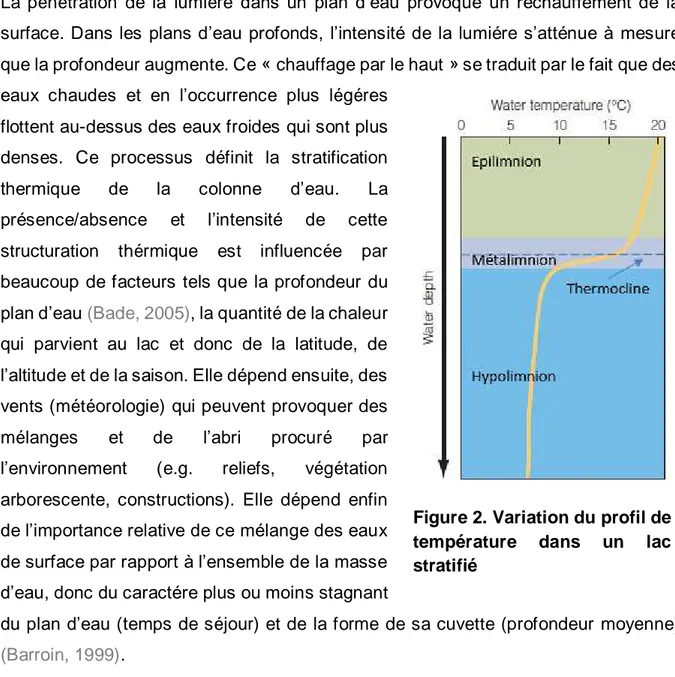 Figure 2. Variation du profil de  température  dans  un  lac  stratifié  