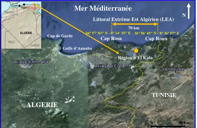 Figure 1: Carte satellitaire montrant la localisation de la zone d’étude située à l’extrême Nord  Est  de  l’Algérie  (LEA)  entre  Cap  Roux  à  l’Est et  Cap  Rosa  à  l’Ouest  (Google  earth,  2015  modifié)