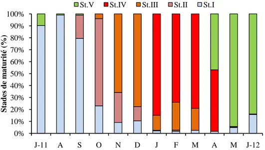 Figure  18:  Variations  mensuelles  des  proportions  des  5  stades  de  maturité  sexuelle  chez  S