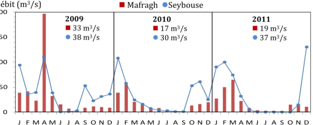 Figure 5. Débit aux embouchures des rivières Seybouse et Mafragh pour la période 2009-2011