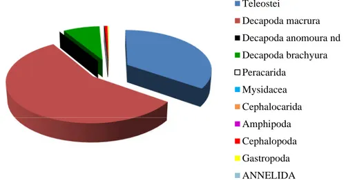 Figure 16. Composition du régime alimentaire global chez Dentex maroccanus des côtes Est de l’Algérie.