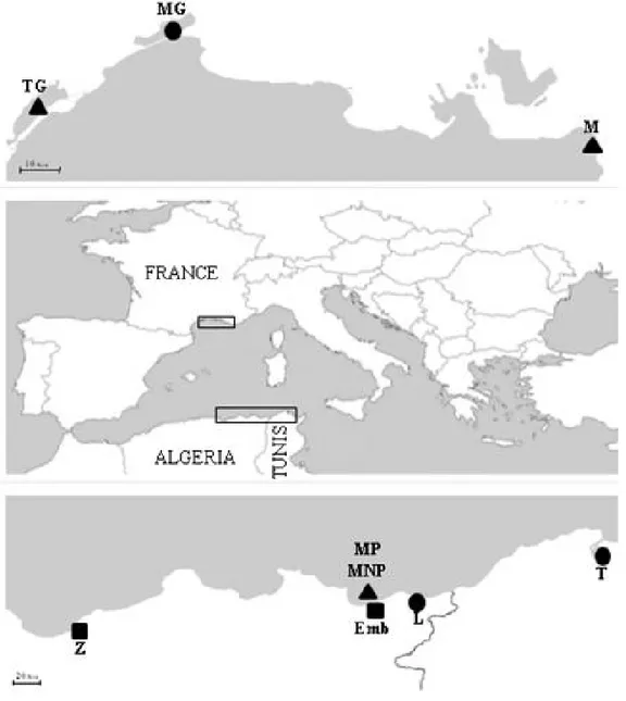 Figure  24.  Zone  d'étude  et  lieux  d’échantillonnage.  Les  huit  points  d'échantillonnage  sont 